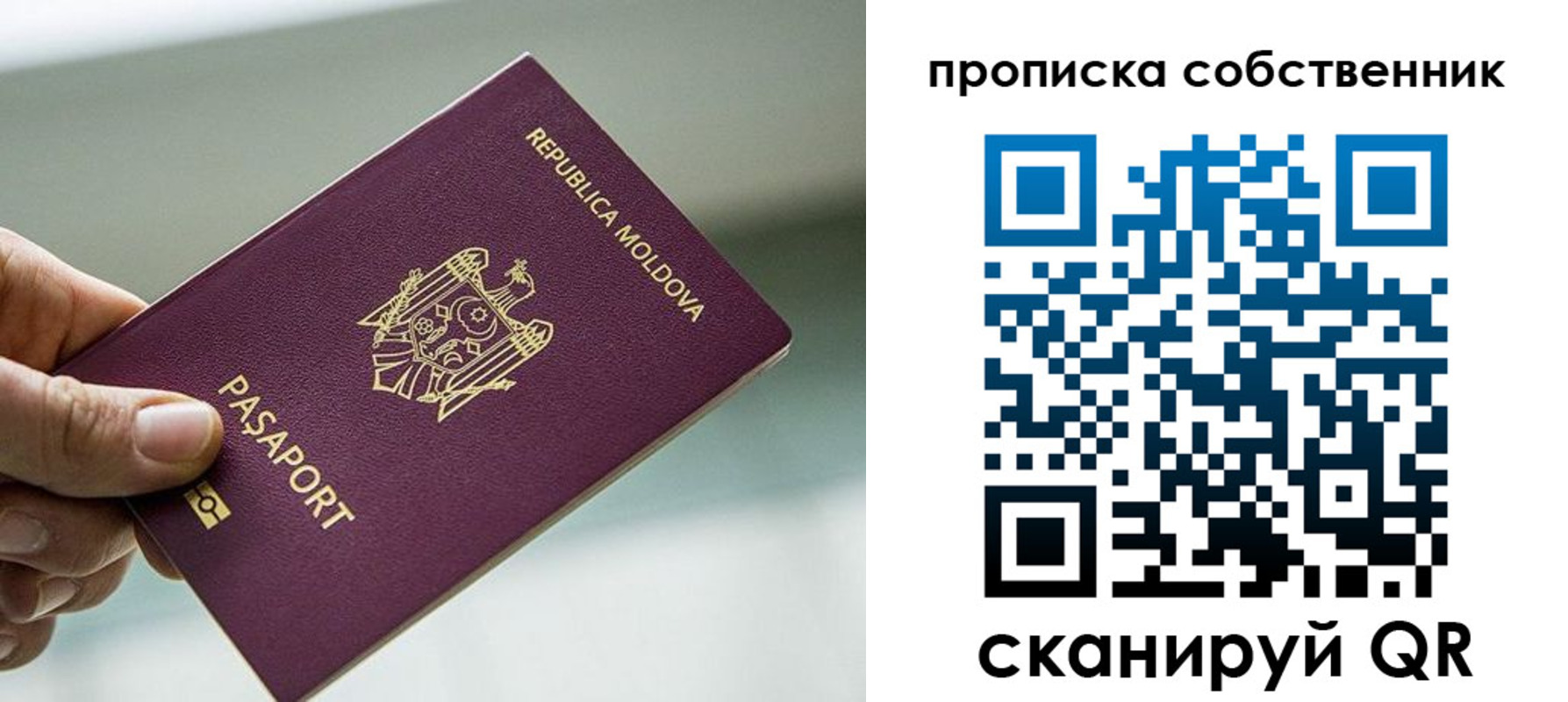 прописка паспорт в Куртамыше